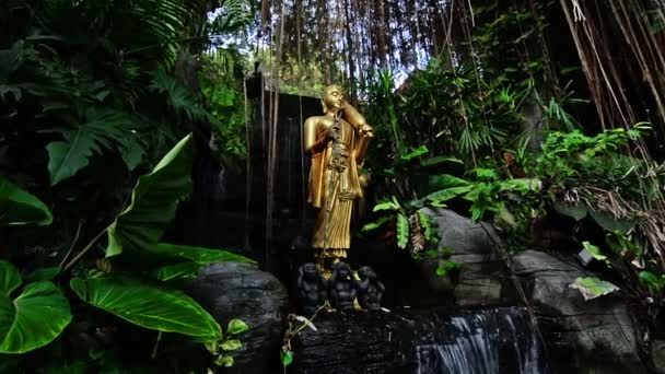 Buddha Staty Ett Vattenfall Bland Växter — Stockvideo