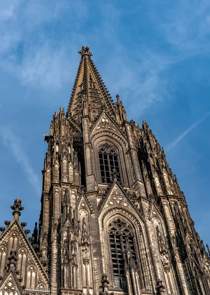 Catedral Gótica Iglesia San Pedro Colonia Alemania Día Soleado Hermoso — Foto de Stock