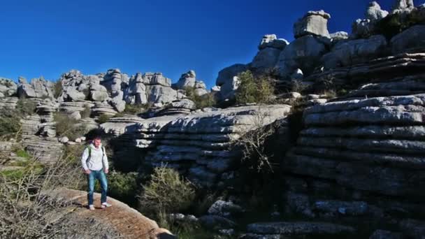 Jonge Zelfverzekerde Knappe Man Wandelen Natuur Een Zonnige Dag — Stockvideo