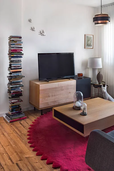 Moderna decoración interior de una sala de estar con sofá, cerámica, libros, lámpara retro, alfombra, suelo de madera y pinturas — Foto de Stock