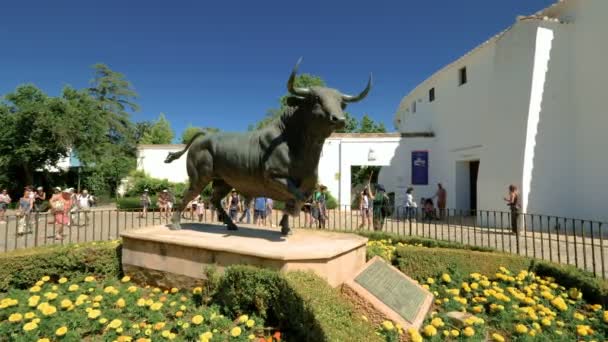 Ronda Spain Circa July 2018 Tourists Taking Pictures Bullfighting Ring — Stock Video