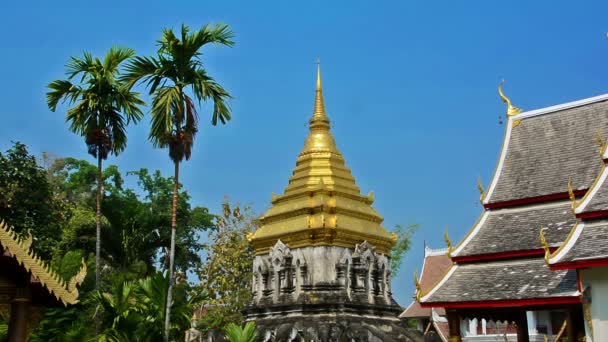 Храмы Будды Чиангмае Таиланд — стоковое видео
