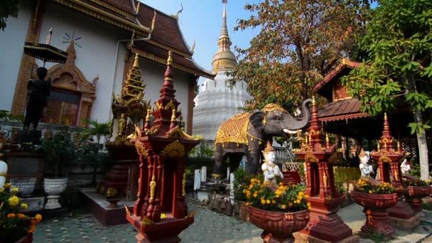 Chiang Mai Tailandia Alrededor Febrero 2016 Templos Chiang Mai Algunas — Vídeos de Stock