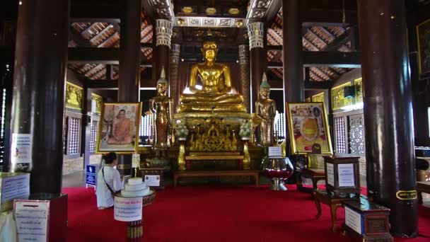 Chiang Mai Menschen Beten Buddha Wat — Stockvideo