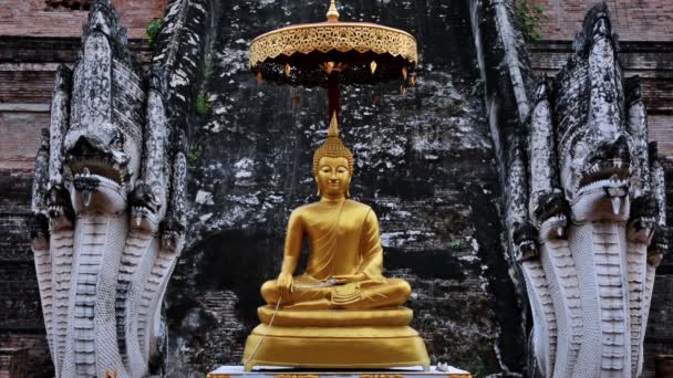 Budda Świątyni Chiang Mai — Wideo stockowe