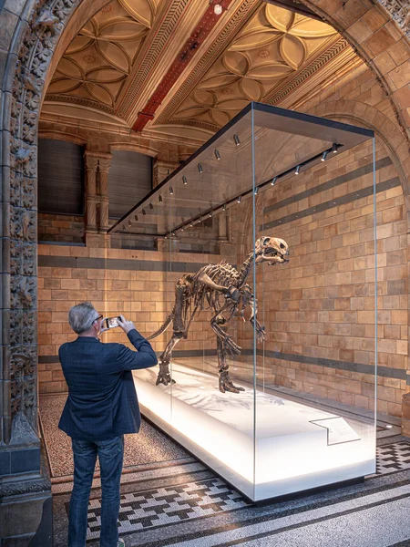 Лондон Великобритания Около Декабря 2019 Года Турист Фотографирует Динозавра Мантеллизавра — стоковое фото