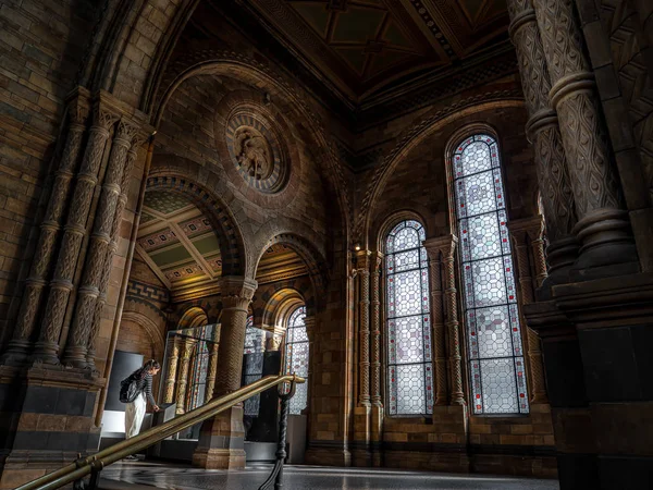 London United Kingdom 2019年12月 在伦敦自然历史博物馆欣赏博览会的游客 色彩斑斓的窗户和建筑元素的细节 — 图库照片