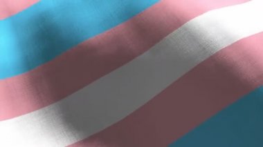 Transseksüel gururlu gökkuşağı bayrağı sallıyor. Kusursuz cgi animasyonu sinematik yavaş çekimde oldukça detaylı kumaş dokusu. Haklar ve eşitlik sembolü için mücadelenin Lgbtq 3d arka planı.