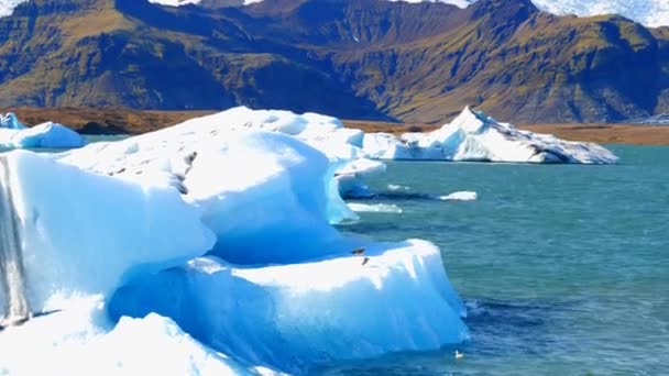 Zlanda Nın Turistik Yerlerinden Biri Olan Lagündeki Jokulsarlon Buzulları Buzdağları — Stok video