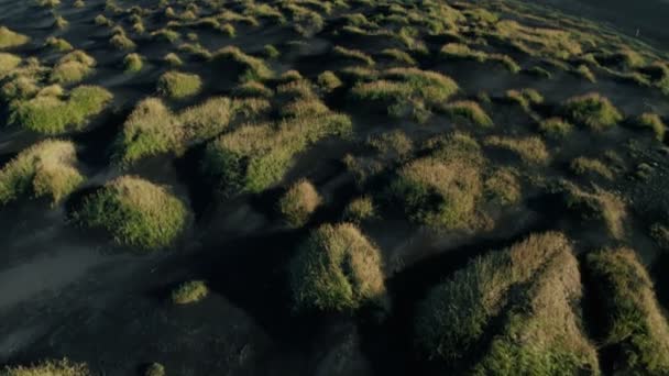Epica Veduta Aerea Drone Volare Sopra Paesaggio Della Spiaggia Sabbia — Video Stock