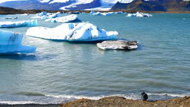 Туристы Фотографируют Ледник Джоколсарлон Айсберги Плавающие Реке Одном Самых Туристических — стоковое видео