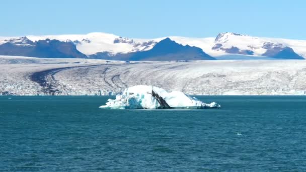 Glacier Jokulsarlon Icebergs Flottant Dans Lagune Des Endroits Les Touristiques — Video