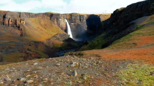 Epic Aerial Drone View Landscape Haifoss Waterfall Iceland Nature Ecology — Stock Video