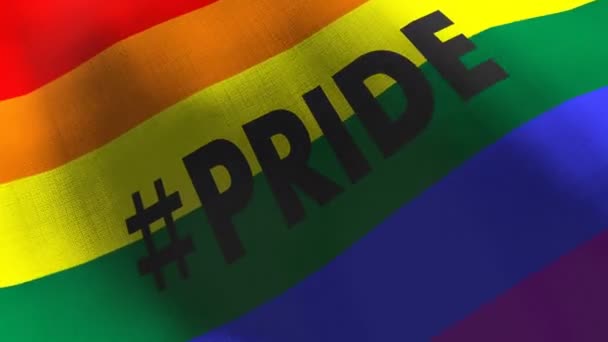 Gay Pride Rainbow Waving Flag Seamless Cgi Animation Highly Detailed — 비디오