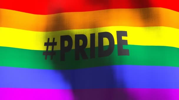 Gay Pride Rainbow Waving Flag Seamless Cgi Animation Highly Detailed — Stock Video