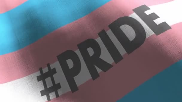 Orgullo Transgénero Arco Iris Ondeando Bandera Con Texto Ella Animación — Vídeo de stock