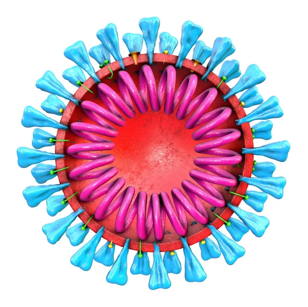 Szczegółowy Ilustracja Sekcja Coronavirus Choroba Covid Infekcja Renderowanie Medyczny Ilustracja — Zdjęcie stockowe