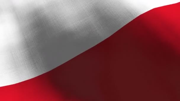 Polen schwenkt Flagge. Nahtlose CGI-Animation mit sehr detaillierter Textur in filmischer Zeitlupe. Patriotischer 3D-Hintergrund von Ländersymbol oder Regierungskonzept. Sportliche Wettkampfkulisse. — Stockvideo