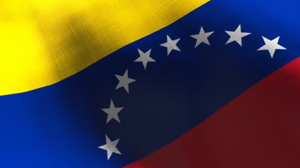 ベネズエラの旗を振って。映画的なスローモーションでシームレスなcgiアニメーション非常に詳細なファブリックテクスチャ.国のシンボルや政府の概念の愛国的な3D背景。スポーツ競技の背景. — ストック動画