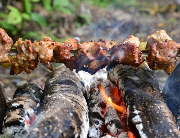 Kamp ateşinde barbekü hazırlığı