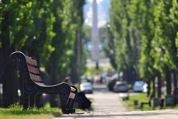 Yaz parkındaki bankta.