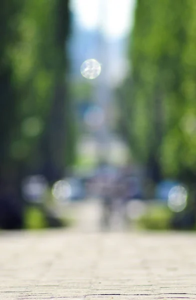 Bulanık yaz parkı arka planı