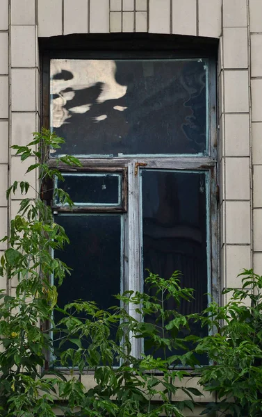 Yazın eski bir pencere.