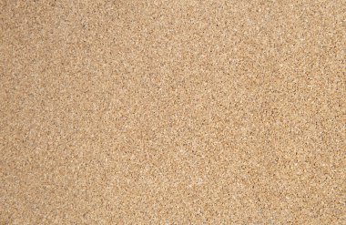 Ply wood texture background. Wood concept.