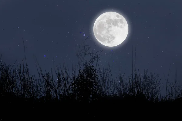 Full moon in starry night over grass. — Stock Photo, Image