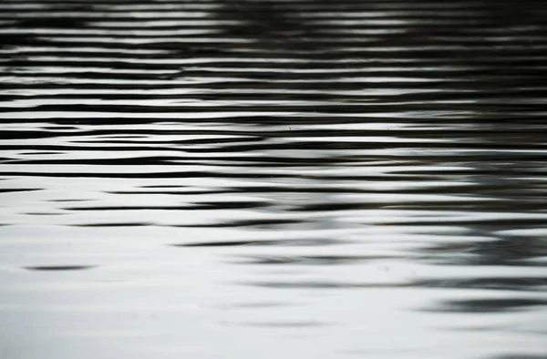 Ripples on the water