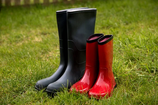 Uzun otların yeşil ve kırmızı Bahçe botlar
