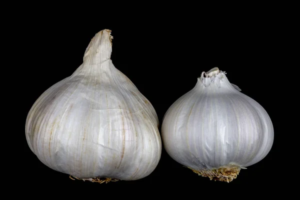 Garlic Bulbs Isolated on a Black Background — Stock Photo, Image