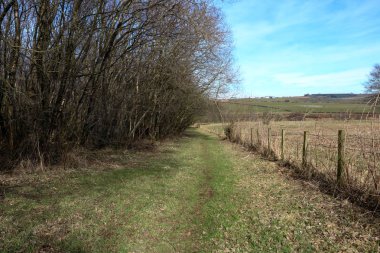 Ülke Lane bir kış akşamında