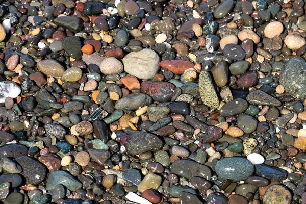 Feuchte Kieselsteine an einem Küstenstrand — Stockfoto