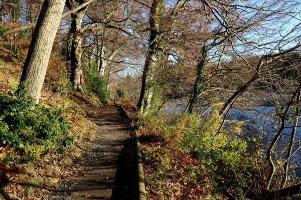 Sendero junto al lago en una brillante mañana de invierno — Foto de Stock