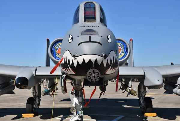 Fuerza Aérea A-10 Warthog / Thunderbolt II — Foto de Stock