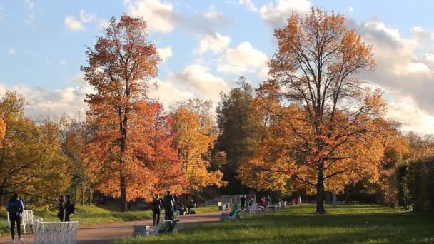 Humor de outono, paisagem de outono. Dia ensolarado no parque de outono . — Vídeo de Stock