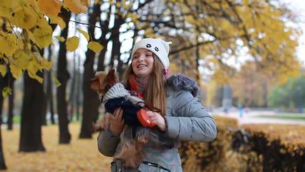 小型犬で 代の少女は 秋の公園で散歩します 秋の風景 葉秋の公園で黄色の葉が付いている木 — ストック動画