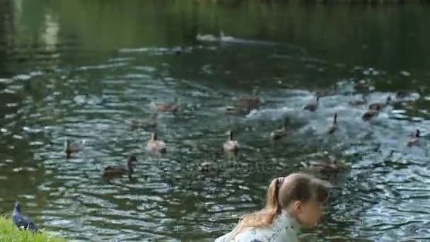 Een Tienermeisje Speelt Oever Van Het Meer Feeds Van Vogels — Stockvideo