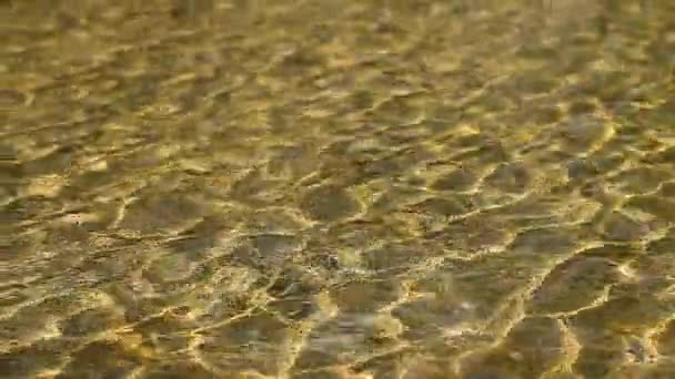 Eau Sur Fond Sable Doré Scintille Soleil Étincelles Briller Sur — Video