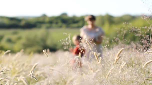 어머니와 필드를 풀밭에 아이와 여자에에서 여름에는 화창한 — 비디오