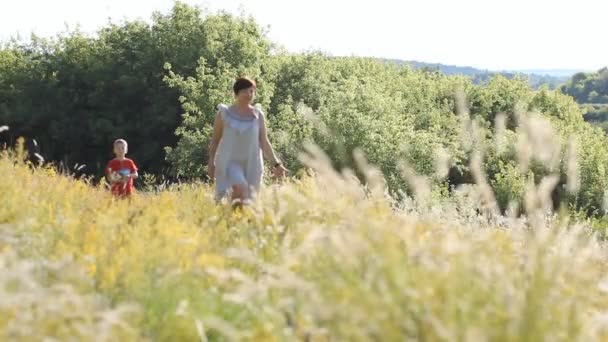 Family Holiday Nature Mother Son Stroll Summer Field Sunny Day — Stock Video