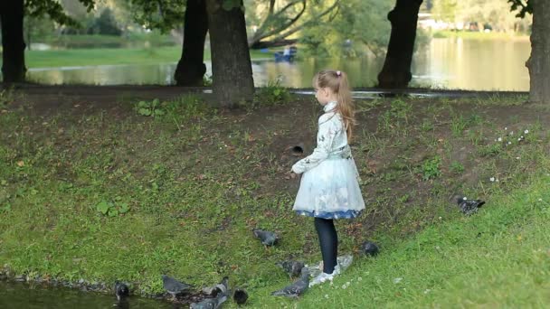 代の少女は湖の岸の果たしている 鳥をフィード 高慢やかかっています 美しい湖で夏の公園子池の岸の上を歩く — ストック動画