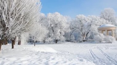 Kış manzarası. Güzel ağaçlarla kaplı karla kaplı bir park. Ağaç donuyla kaplı. Bir Noel resmi - bir kış ormanı, bir peri masalı parkında güneşli bir gün.