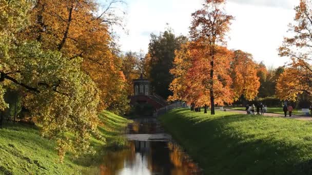 秋天的心情 秋季景观 阳光灿烂的日子 在秋天的公园 视频镜头 2016 日在亚历山大公园在普希金城 — 图库视频影像