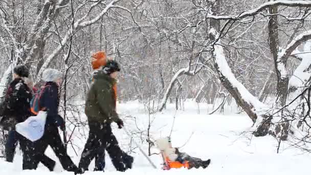 Uma Tempestade Neve Parque Inverno Pessoas Caminham Pelo Parque Através — Vídeo de Stock