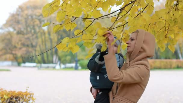 Young Woman Baby Her Arms Mom Son Resting Beautiful Autumn — Stock Video