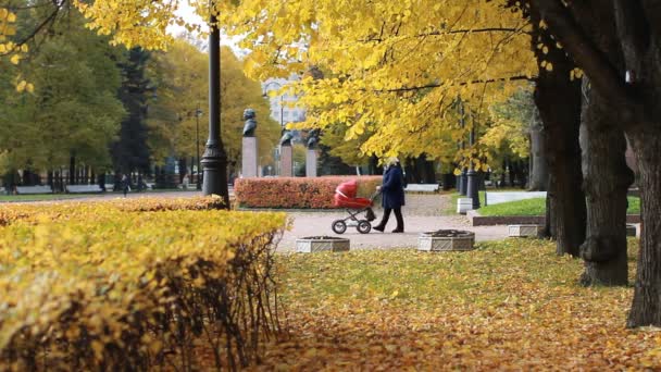 Podzimní Park Velkém Městě Lidé Chodí Parku Během Pádu Pádu — Stock video