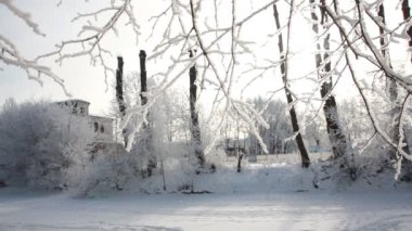 Kış manzarası. Güzel ağaçlarla kaplı karla kaplı bir park. Ağaç donuyla kaplı. Bir Noel resmi - bir kış ormanı, bir peri masalı parkında güneşli bir gün.