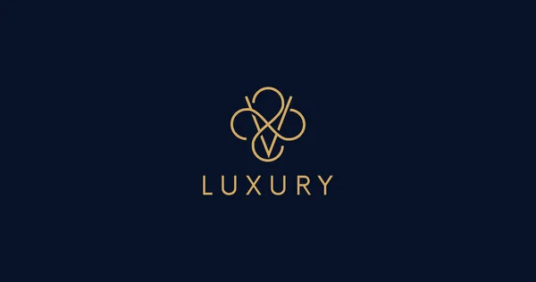 Luxus Buchstabe Logo Zeichen Vektor Design Elegantes Lineares Monogramm — Stockfoto